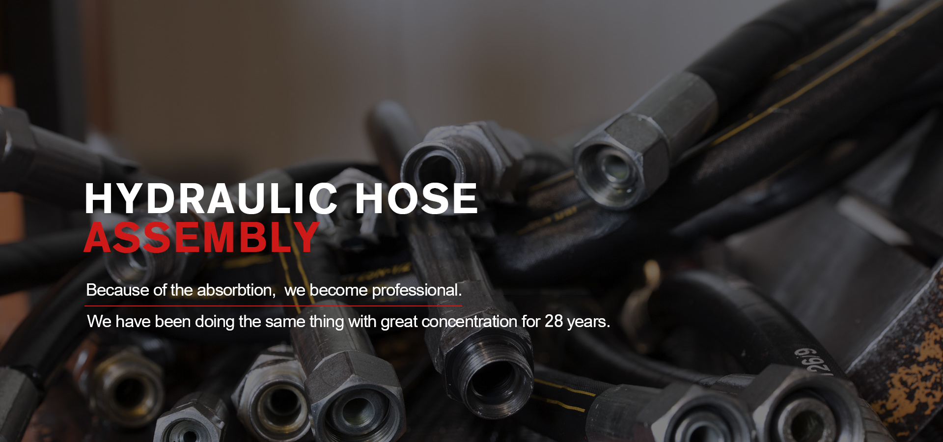 Hydraulic hose assembly